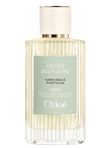 Chloe Narcissus Poeticus